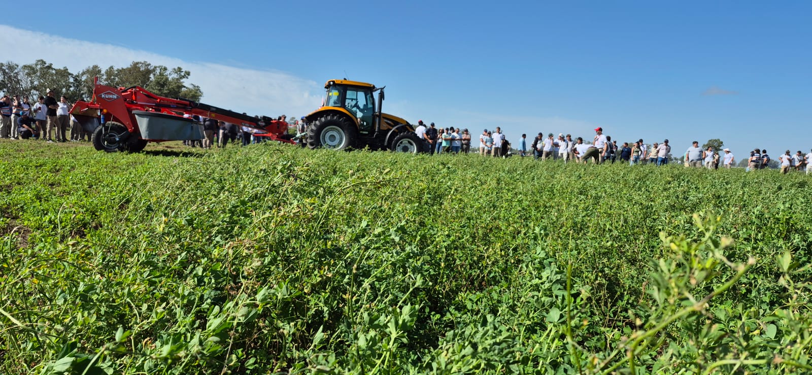 “La base del campo es la alfalfa; no hay otro cultivo que se compare”