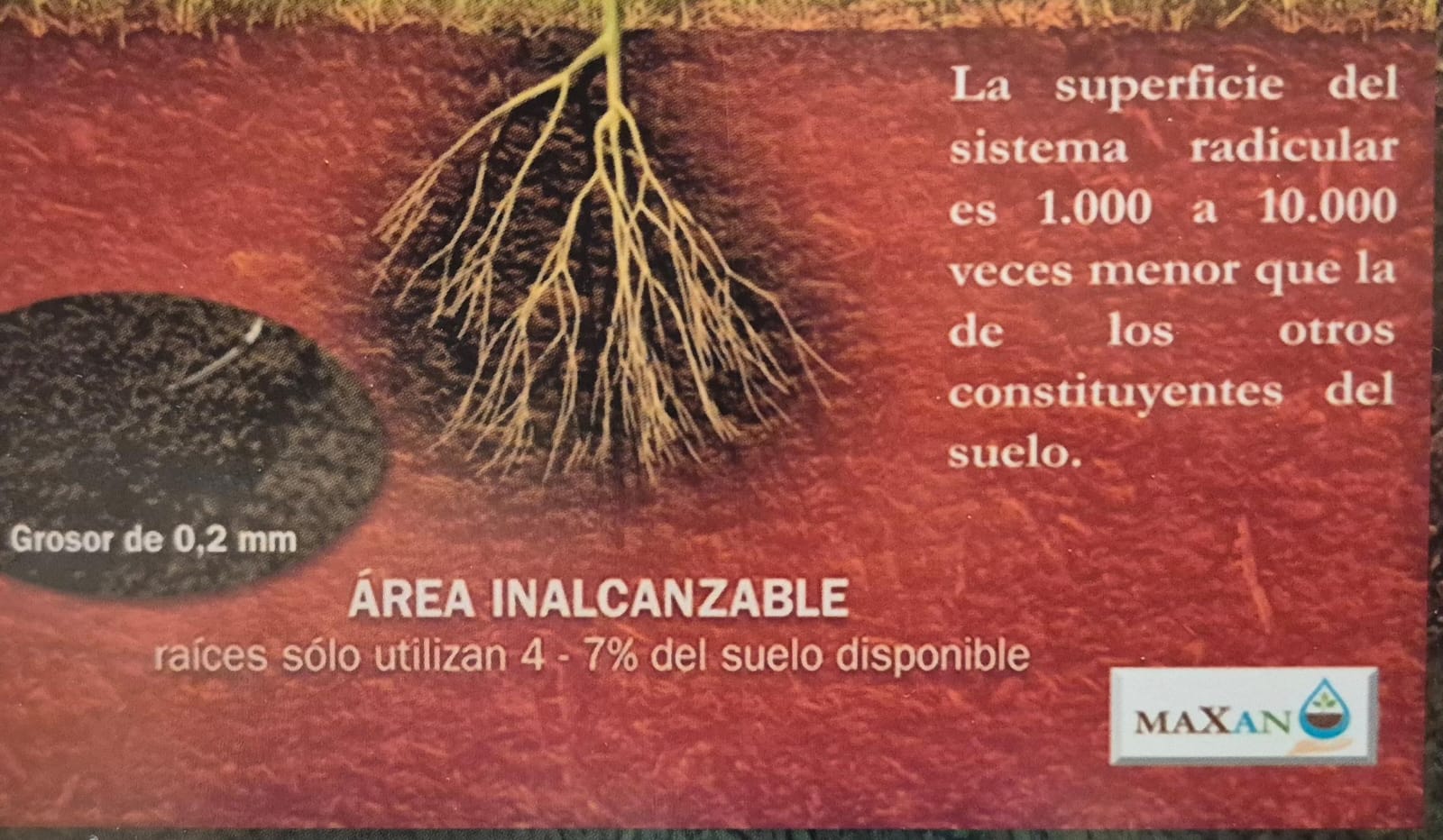 Mirar el suelo, la llave de la “revolución productiva”