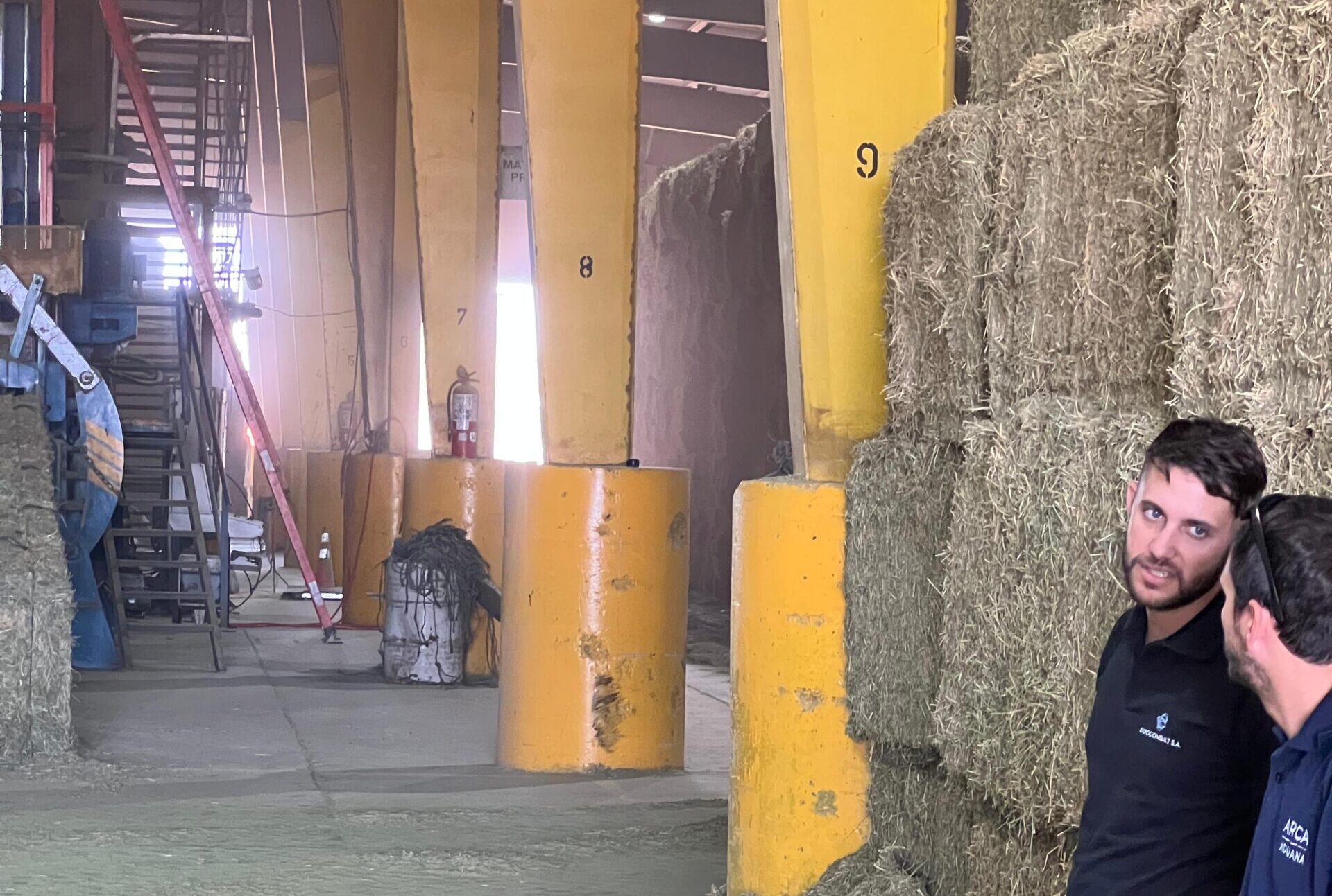 Exportación de Alfalfa Argentina: ¿Crecimiento estacional o nuevo paradigma global?