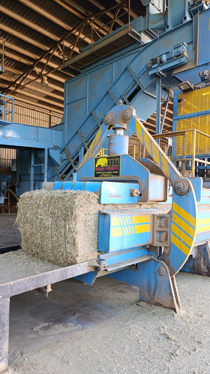 Los desafíos de la alfalfa: de la eficiencia productiva a la industrialización