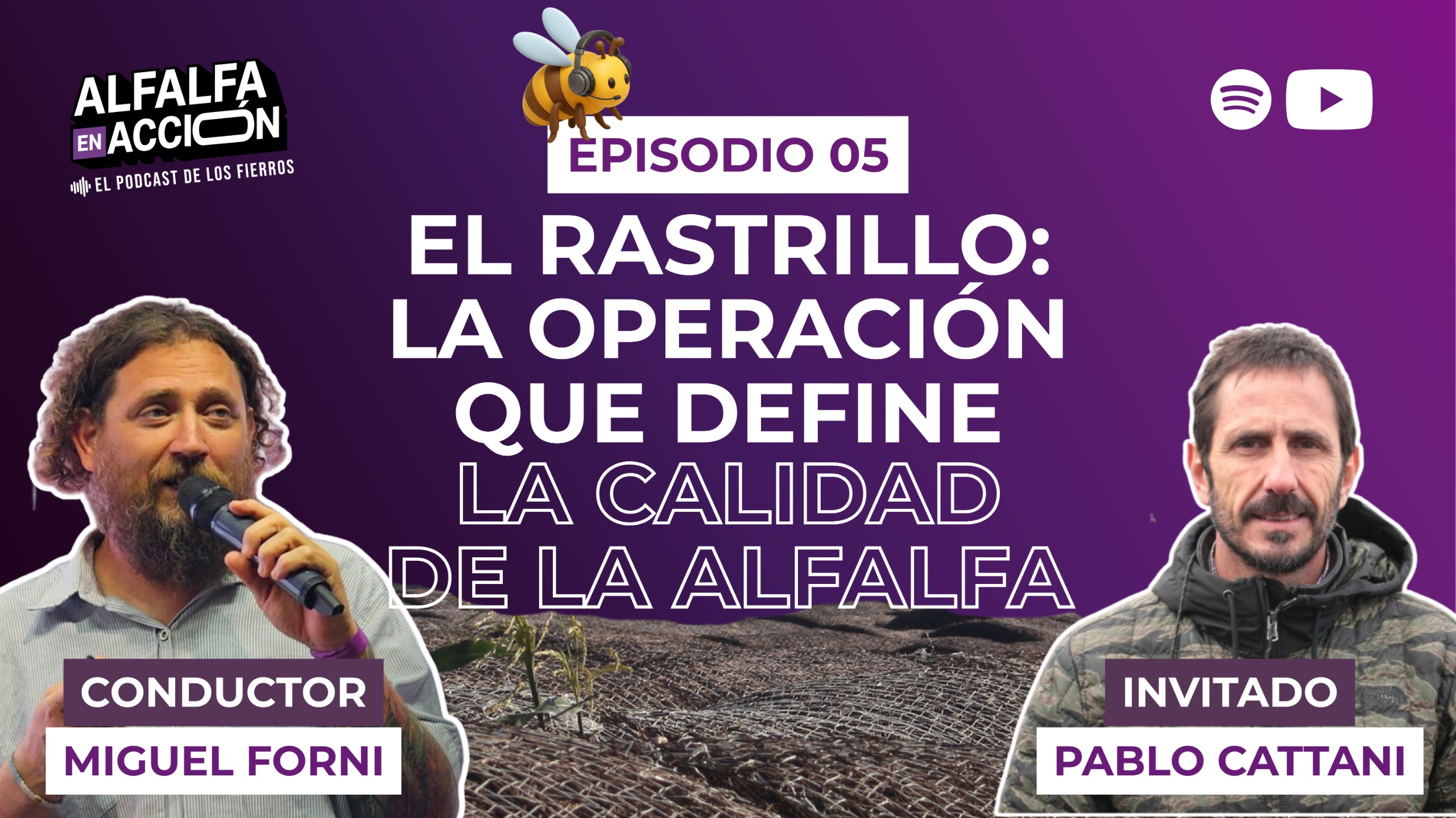 El rastrillo: la operación que define la calidad de la alfalfa