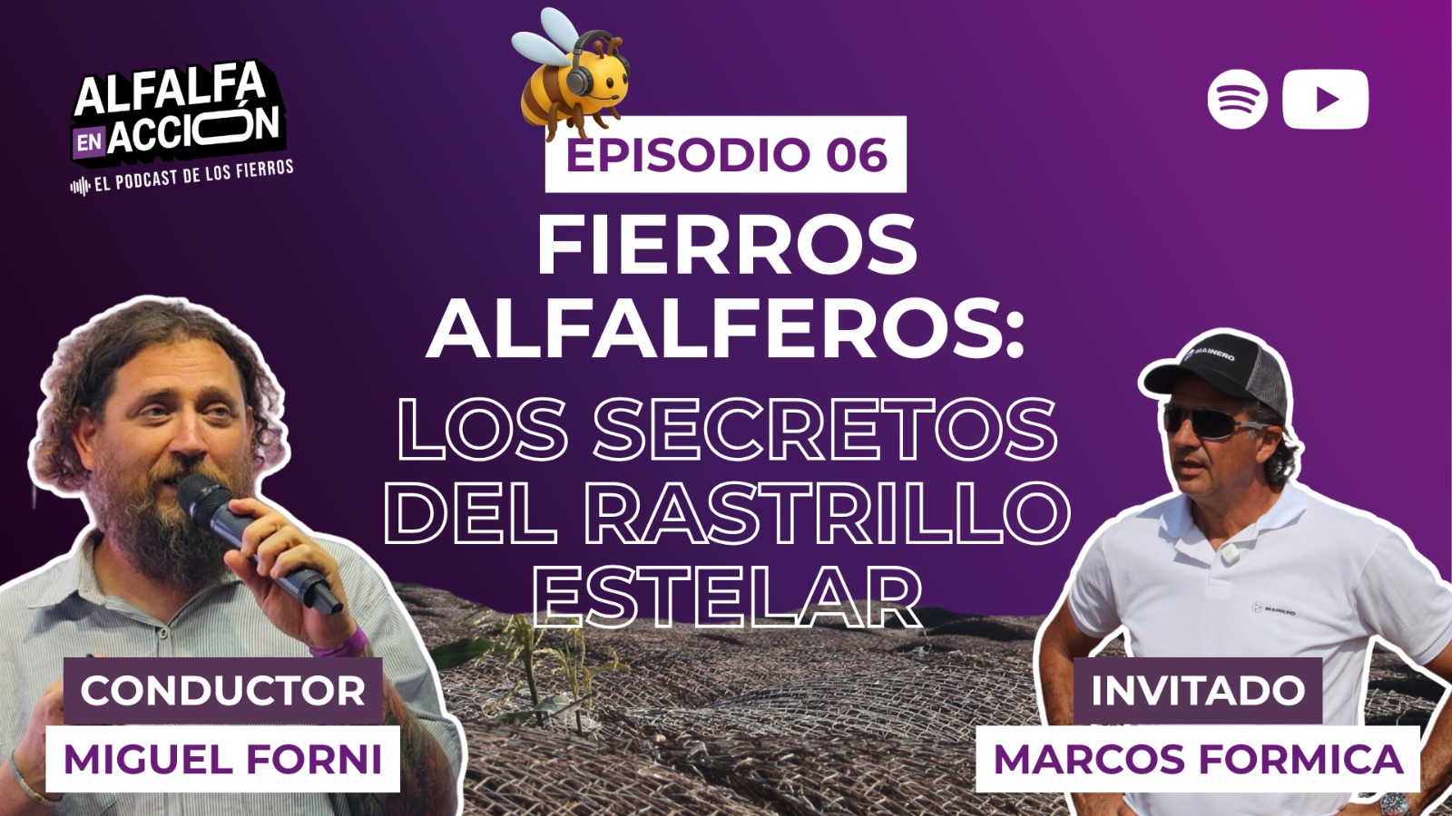 Fierros forrajeros: Secretos del rastrillo estelar