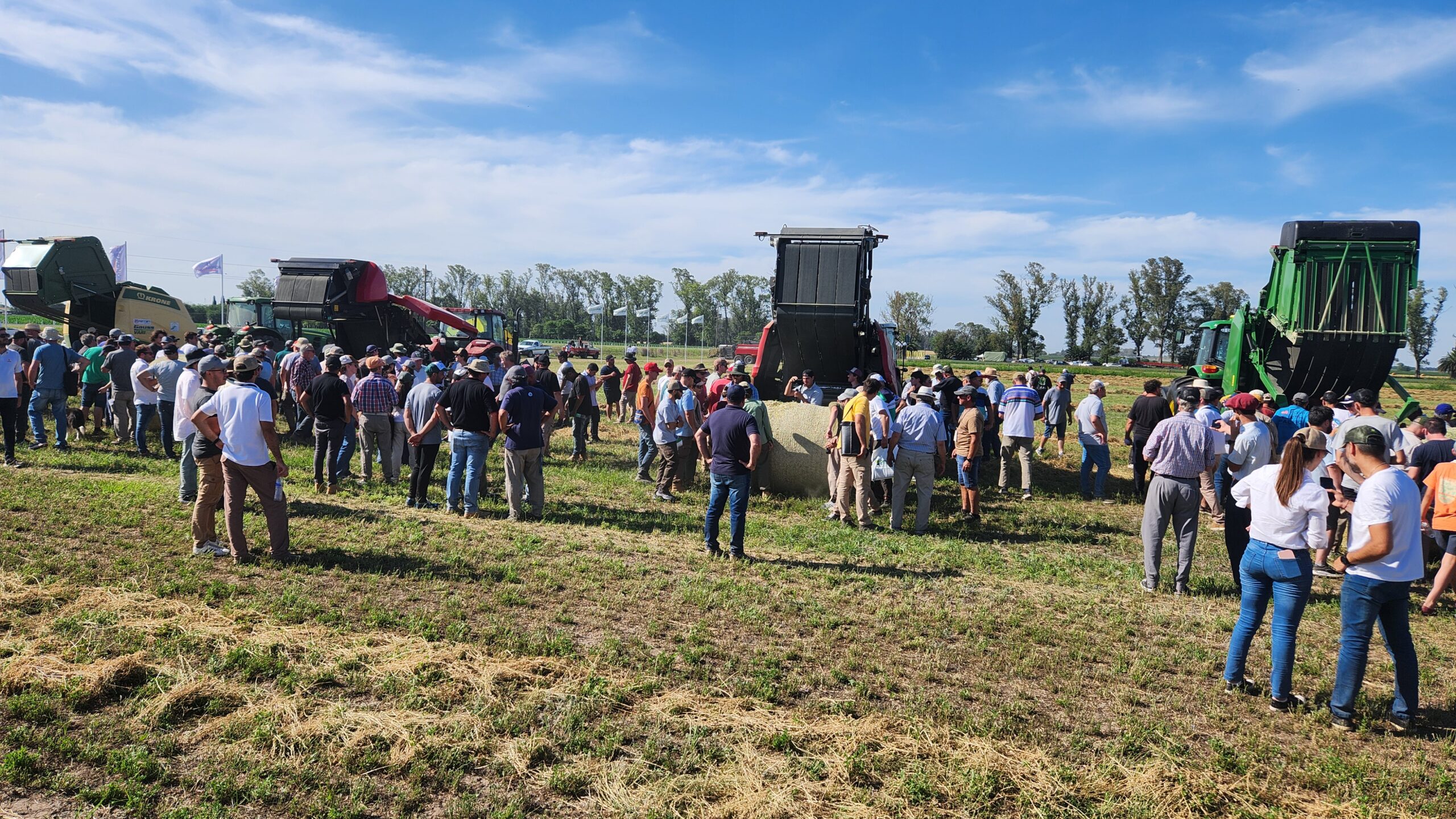 La “alfalfa en acción” pone a las máquinas forrajeras en el campo
