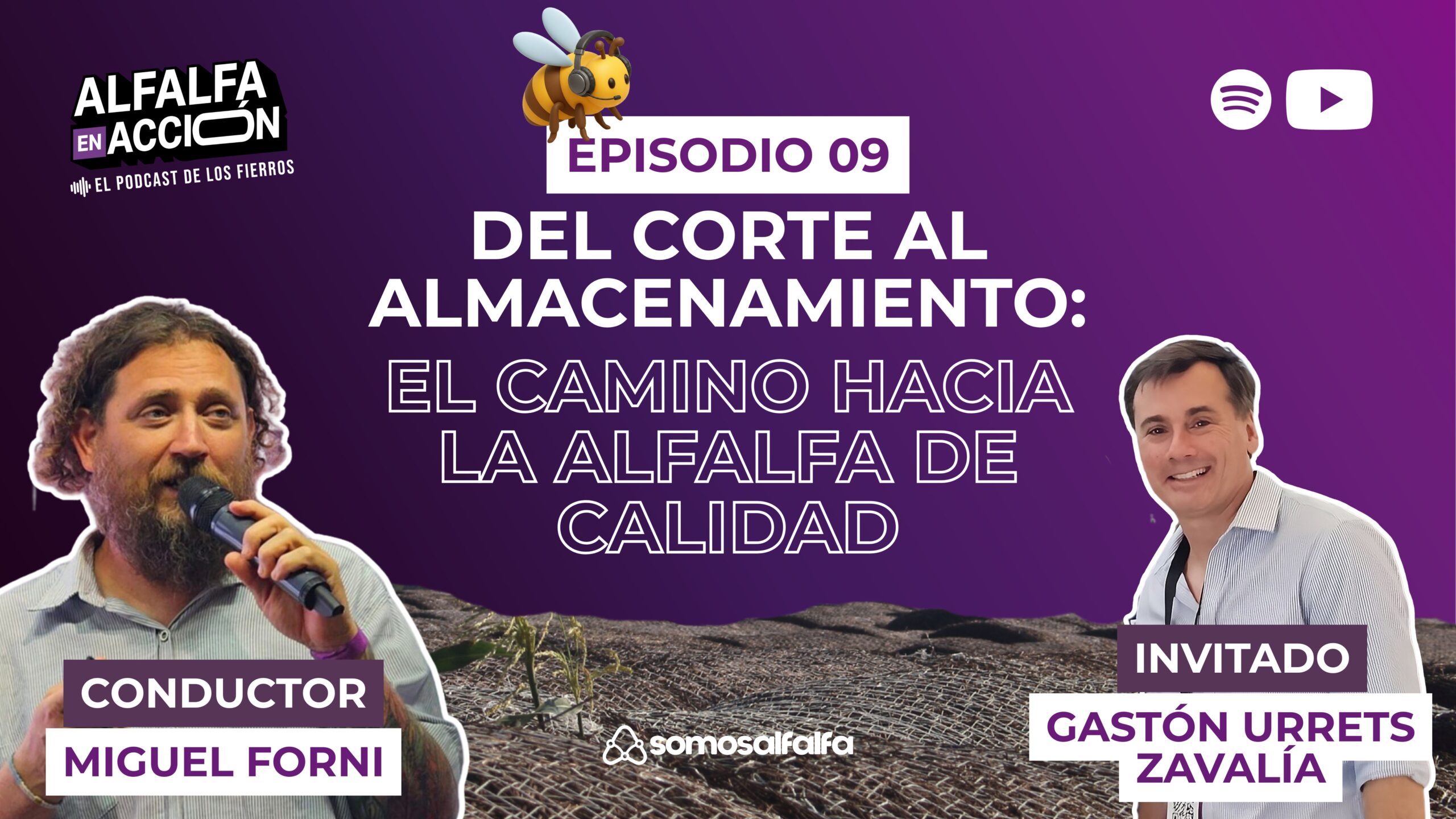 Del corte al almacenamiento: El camino hacia la alfalfa de calidad