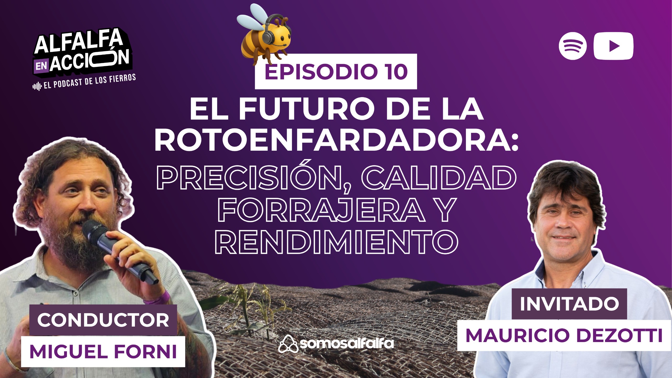 “Hay que hacer bombones de alfalfa”
