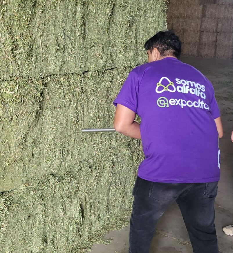 “Lo que no se mide no se puede conocer”: Concurso de heno en ExpoAlfa Centro
