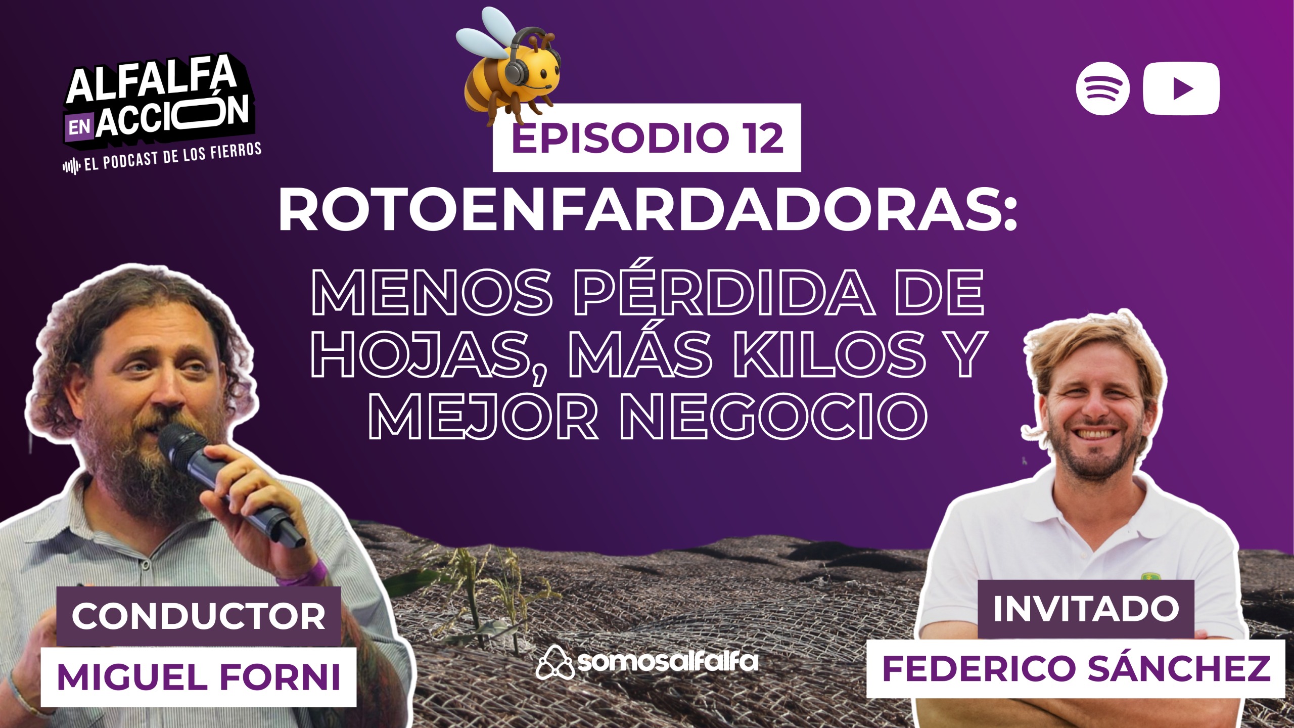 Rotoenfardadoras: menos pérdida de hojas, más kilos y mejor negocio